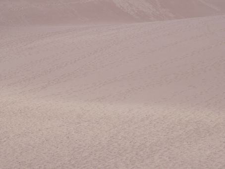 A Day at the Dunes, Exploring Great Sand Dunes National Park