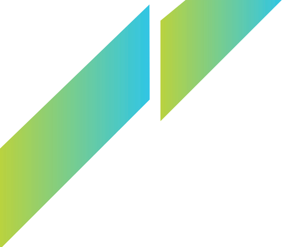 franjas 2_edited.png