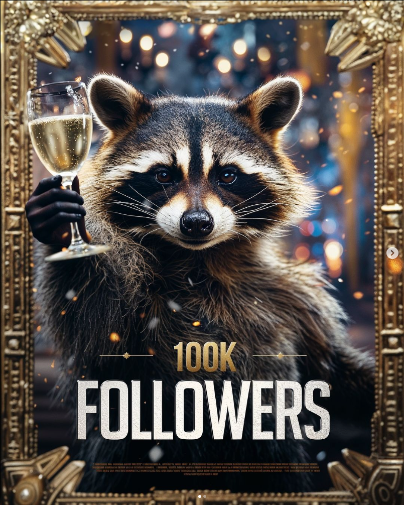 A raccoon celebrating 100k followers