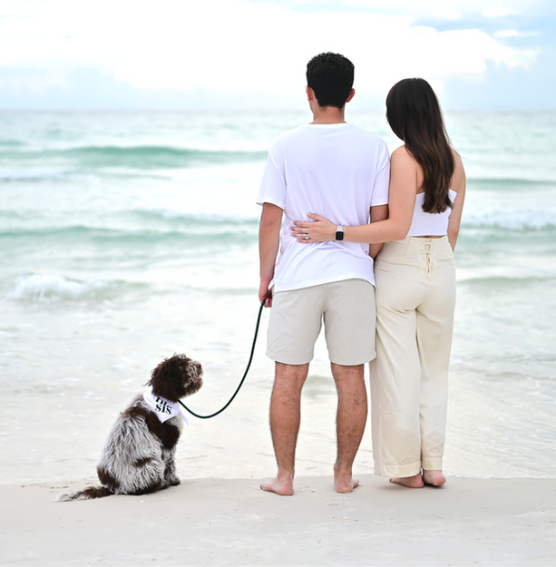 Beach photo shoot showing a couple w/dog holding hands and looking out at the ocean