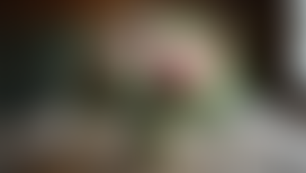 Mini Wedding Photography Packages Explained: Your Guide to Small Wedding Photo Packages