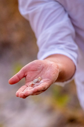Found a hermit crab at the end of the portrait session