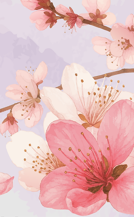 S2_pink copy 2.png