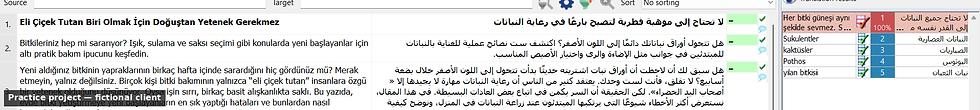 Screenshot of a memoQ translation grid showing the Turkish title and idiom segment alongside the post-edited Arabic translation, with a term base panel on the right.