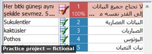 Close-up of a memoQ term base panel listing the Turkish plant names "Pothos" and "yılan bitkisi" with their Arabic term matches.