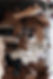 IMG_0281.jpeg