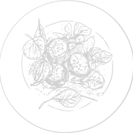 Logo présentant la page Formule du soir