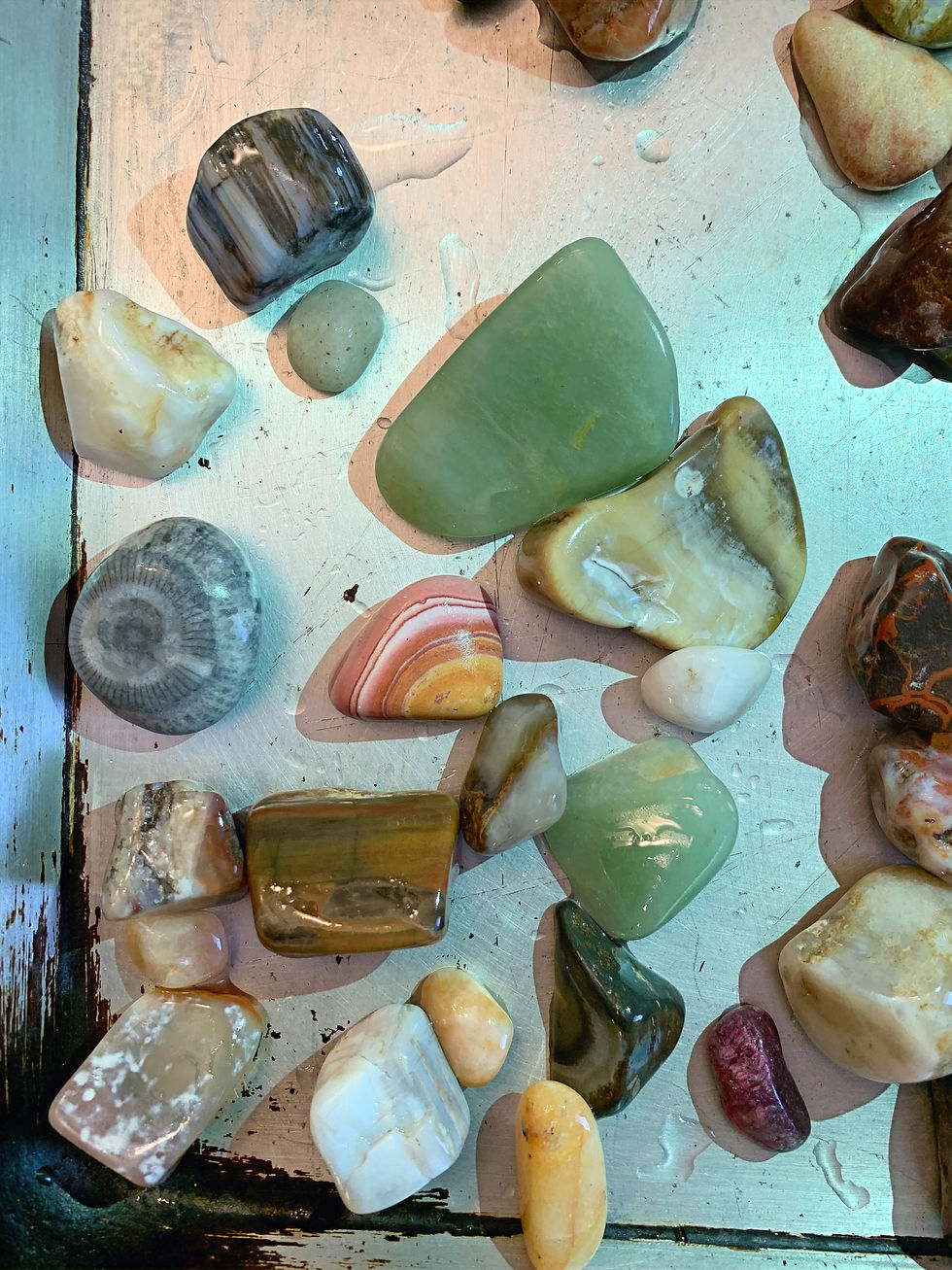 Rock Tumbling and Another Dig at the Park