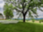 side lawn 2.jpg