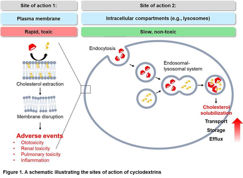Figure 1.png
