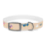 Thumbnail: Dog Collar Beachy
