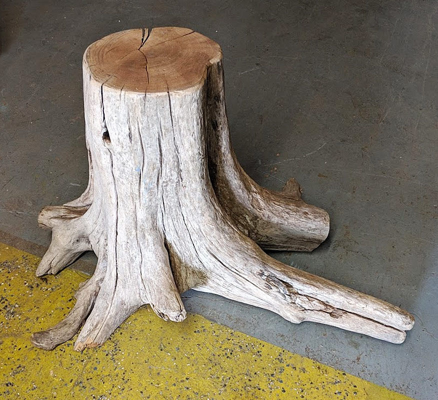 WOOD STUMPS, BASES & BURLS | Denver, CO | WWMS