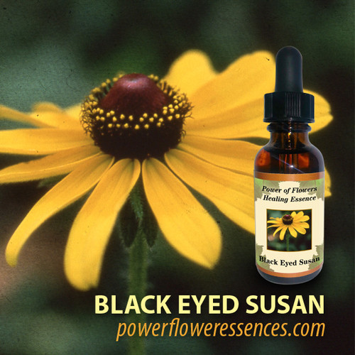 Black Eyed Susan Flower Essence Power of Flowers