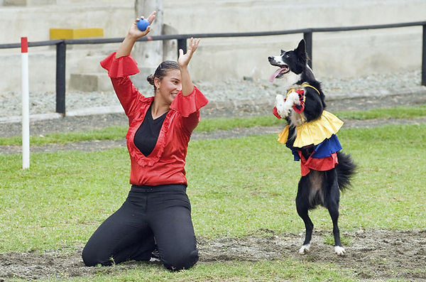 dog-dancing.jpg