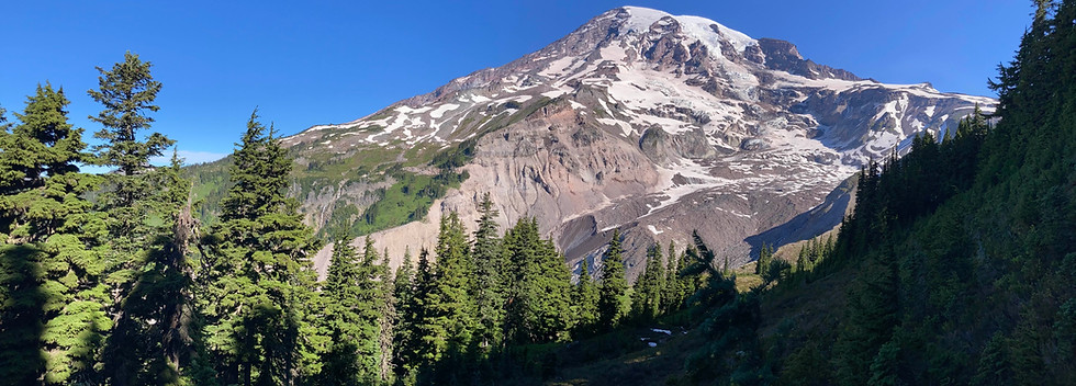Rainier Side Trail.jpg