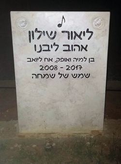 תמונות 101