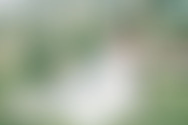 Boda Franco-Colombiana en La Ruitoca Picnic | Fotografía Editorial de Laura & Gabriel