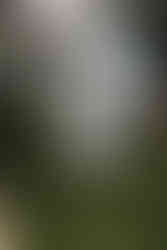 pareja de esposos se casan en bucaramanga