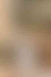 Boda en Casa antonio 1912 Juan & Paola