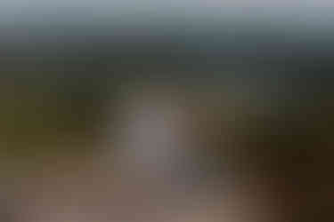 preboda mesa de los santos