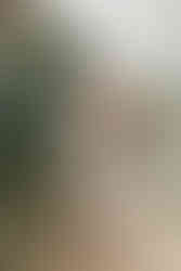 Fotografo de bodas en Barichara