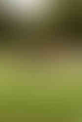 johan rey fotografia de bodas bucaramanga