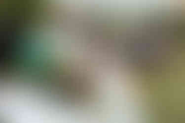 pareja de esposos se casan en bucaramanga