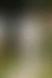 pareja de esposos se casan en bucaramanga