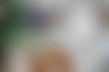 Boda Franco-Colombiana en La Ruitoca Picnic | Fotografía Editorial