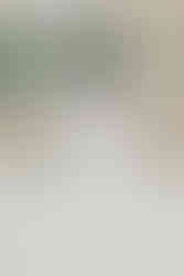 Un fotografo captura una pareja de esposos frente a un edificio en Bucaramanga