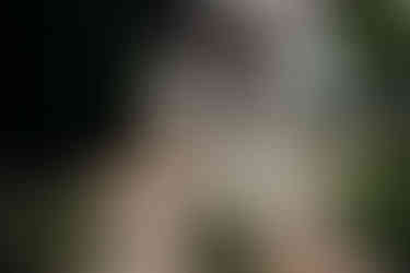 pareja de esposos se casan en bucaramanga