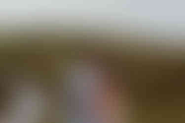 preboda mesa de los santos