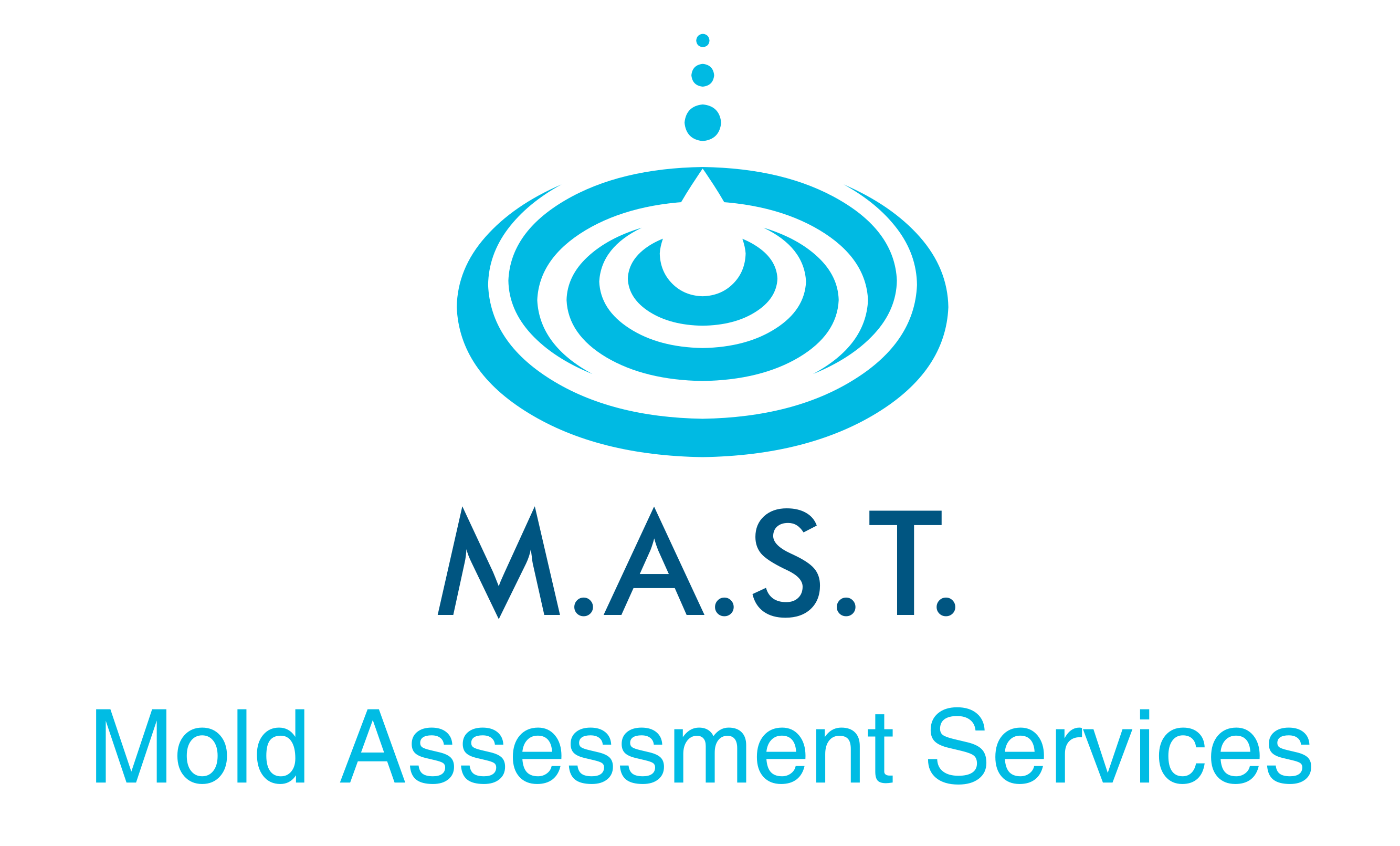 MAST Inspections
