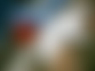 Cuba will not be defeated!: TKP