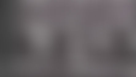 A Soviet History of the Comintern (1919-1943)