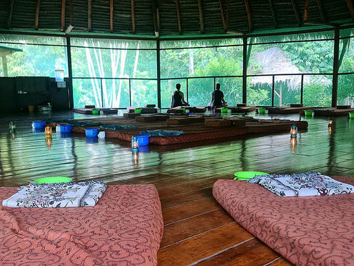 The Dark Side of Ecotourism: When Green Travel Exploits People and the Planet