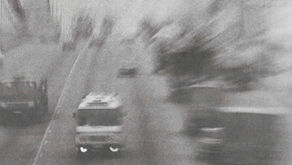 Public Health in the USSR, 1984