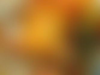 Quick Roasting Turkey for the Holiday