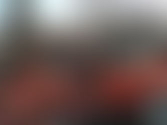 Democratic Army of Greece honoured at mass rally