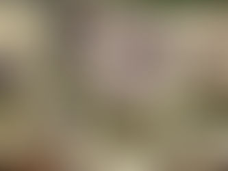 Selected Works of Raúl Castro Ruz launched in Havana