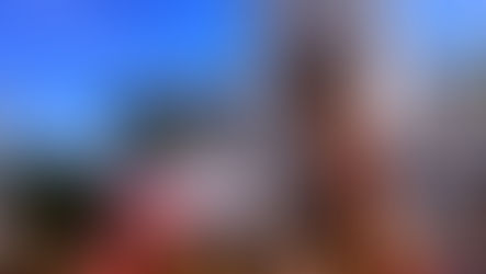 Rights, Justice, Action, For ALL Women and Girls: Statements on International Working Women’s Day 