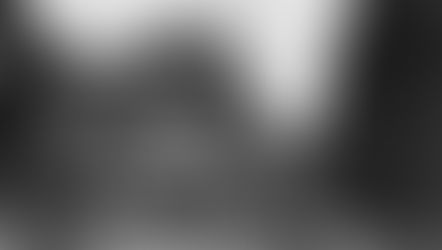 The Workers Party of Ireland commemorates the Easter Rising of 1916