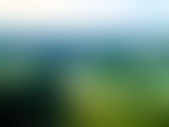 Afro-Descendant Communities Offer a Living Blueprint for Amazon Conservation