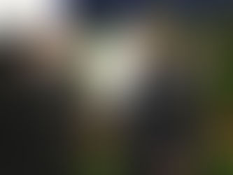 Chinese leaders honour legendary Communist Party veteran Song Ping