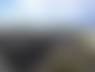 300,000 March in Washington, DC for Palestine