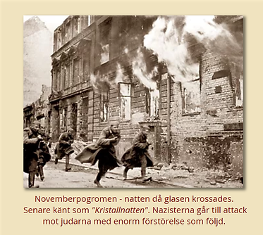 Skärmklipp 2022-03-12 13.53.06.png