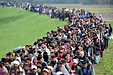 migrant-2015.png