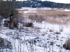 CRW_0361-Lissma-där-fastigheten-låg-1_1 - kopia.jpg