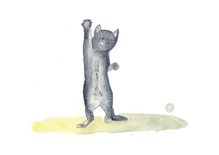 Stretch Kitty