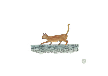 abyssinian cat watercolour watercolor ink